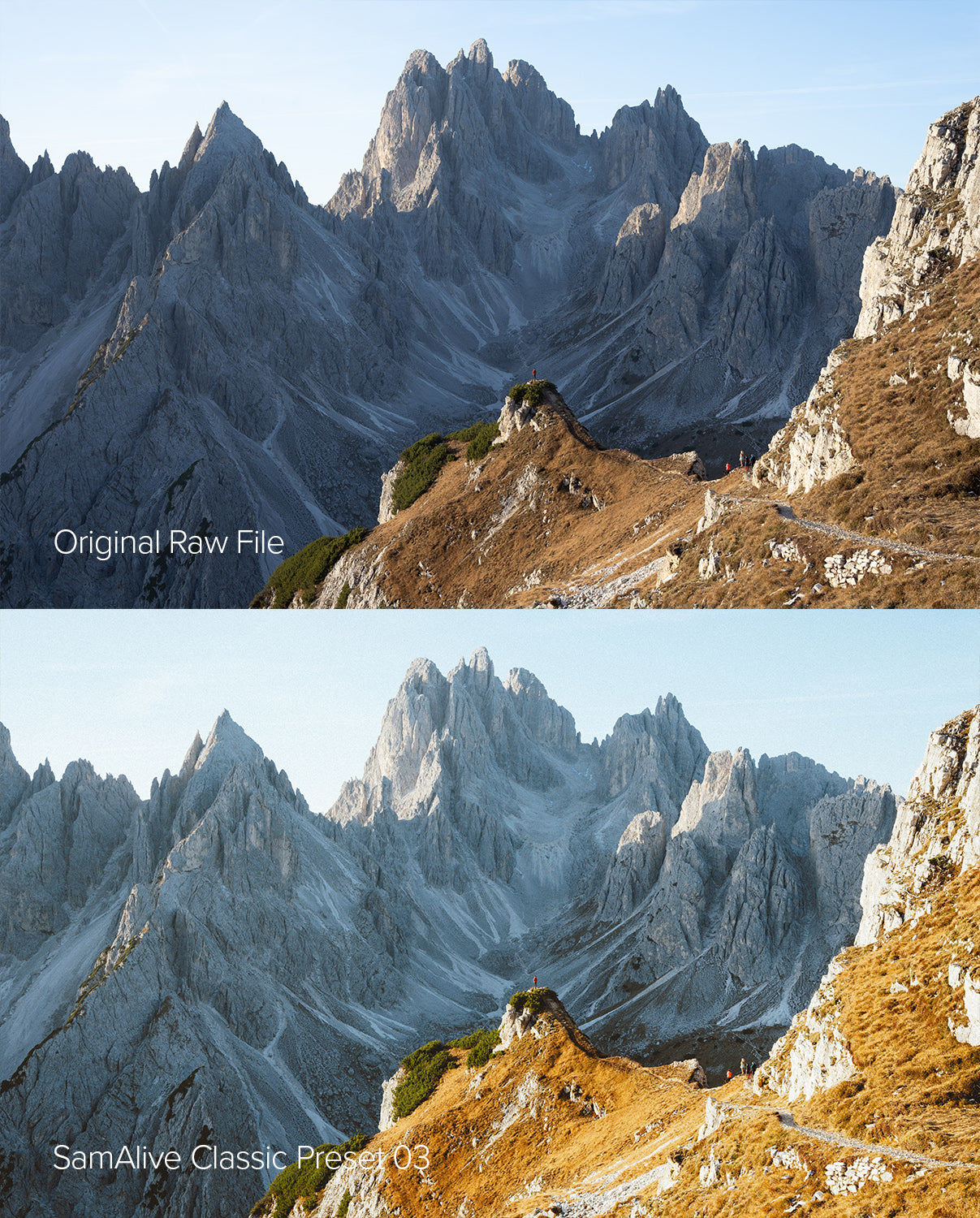 SamAlive Classic Presets Pack